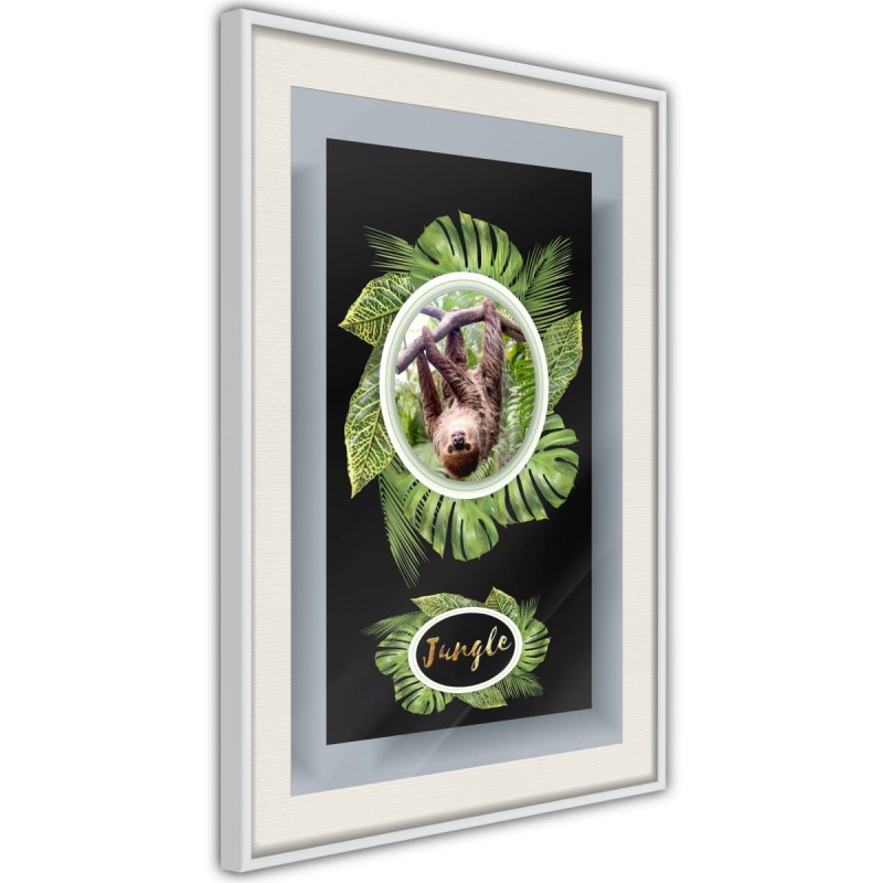 Plakat - Pozdrowienia z dżungli