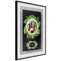 Plakat - Pozdrowienia z dżungli