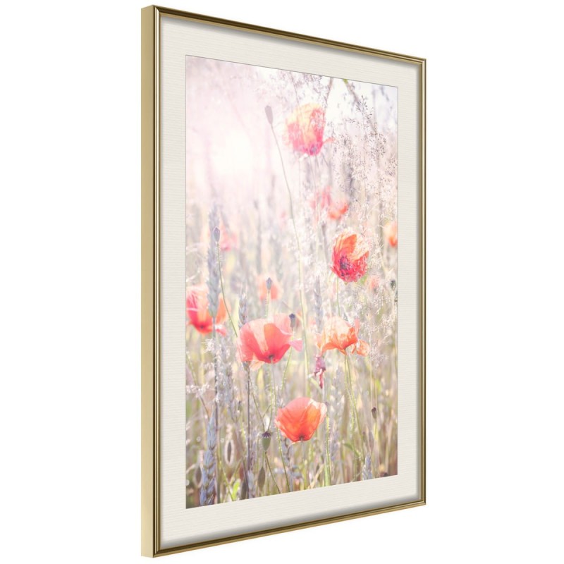 Plakat - Maki