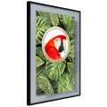 Plakat - Papuga pozdrawia