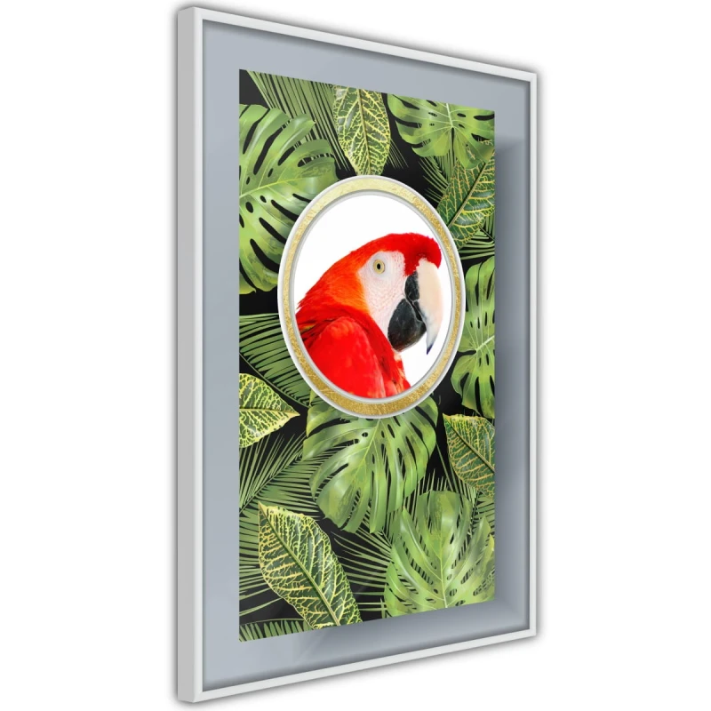 Plakat - Papuga pozdrawia