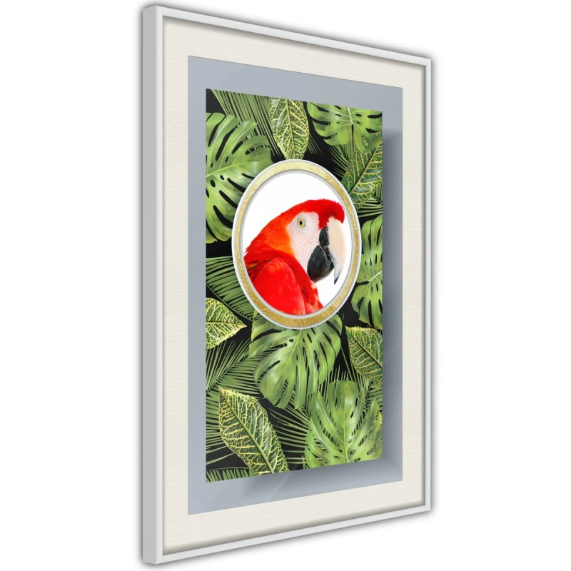 Plakat - Papuga pozdrawia