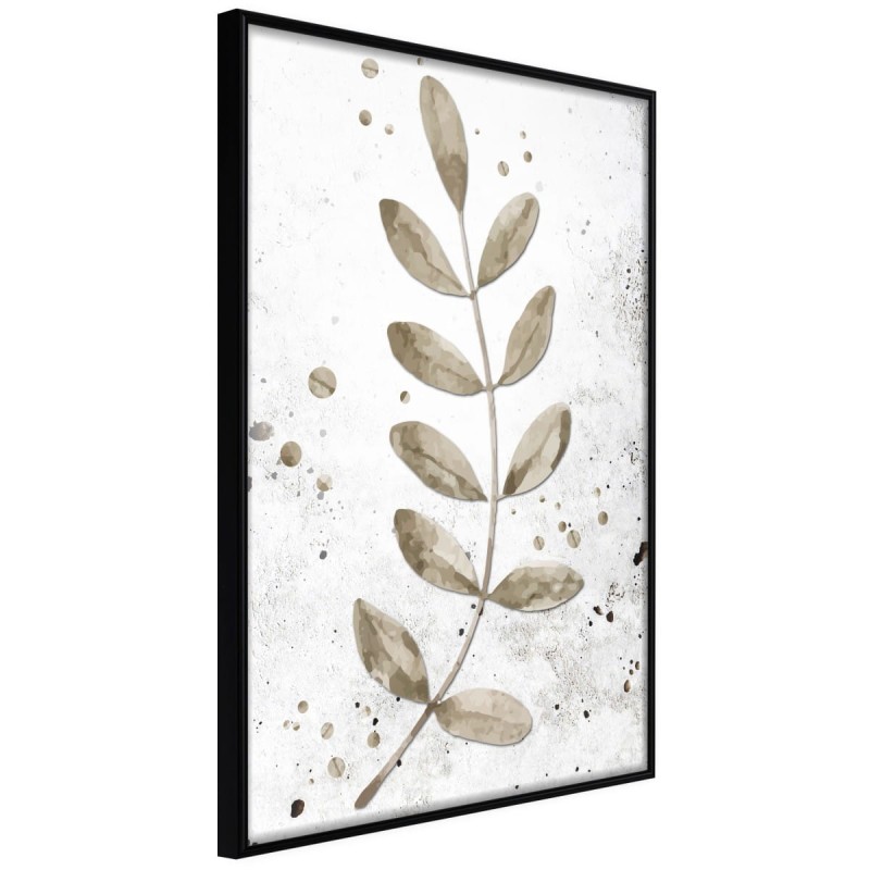 Plakat - Zasuszona gałązka