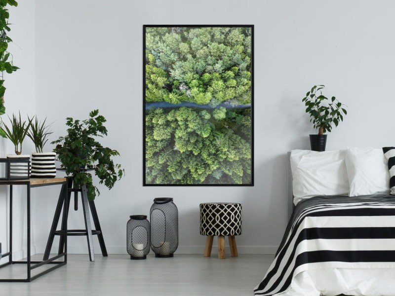 Plakat - Las z lotu ptaka