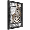 Plakat - Zebra w ramie