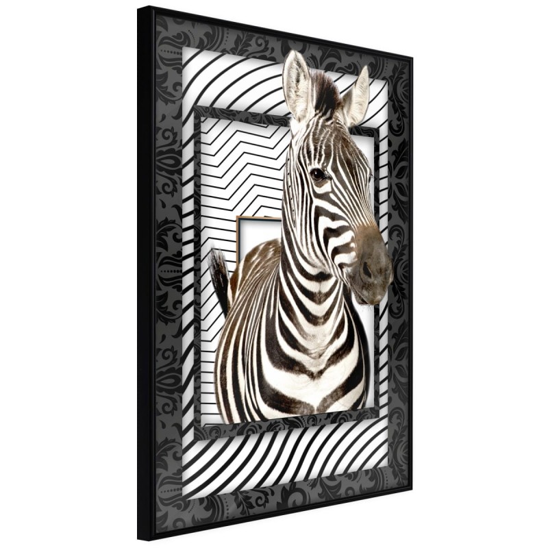 Plakat - Zebra w ramie