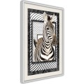 Plakat - Zebra w ramie