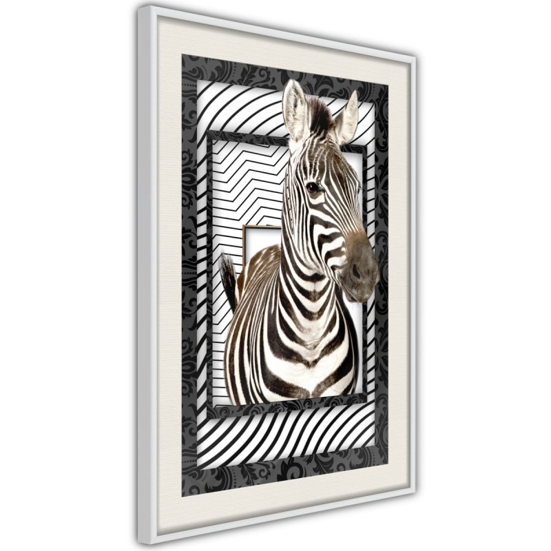 Plakat - Zebra w ramie