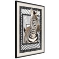 Plakat - Zebra w ramie