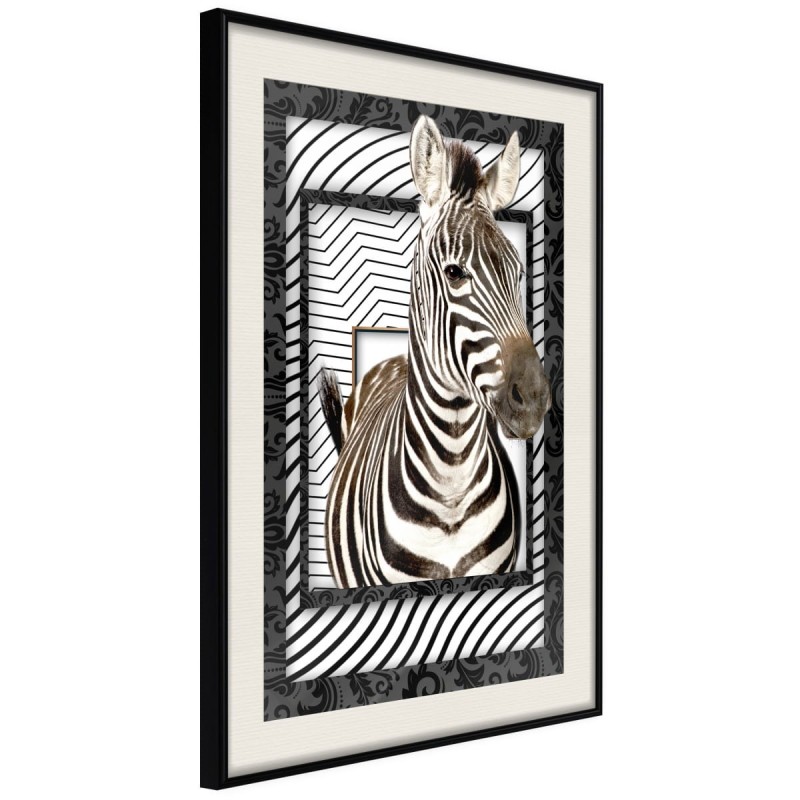 Plakat - Zebra w ramie
