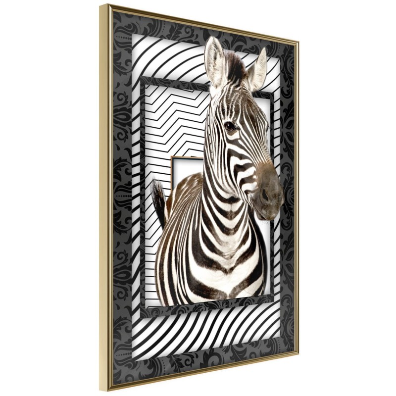 Plakat - Zebra w ramie