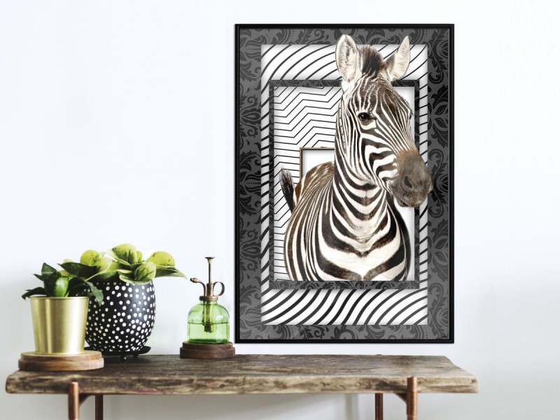 Plakat - Zebra w ramie