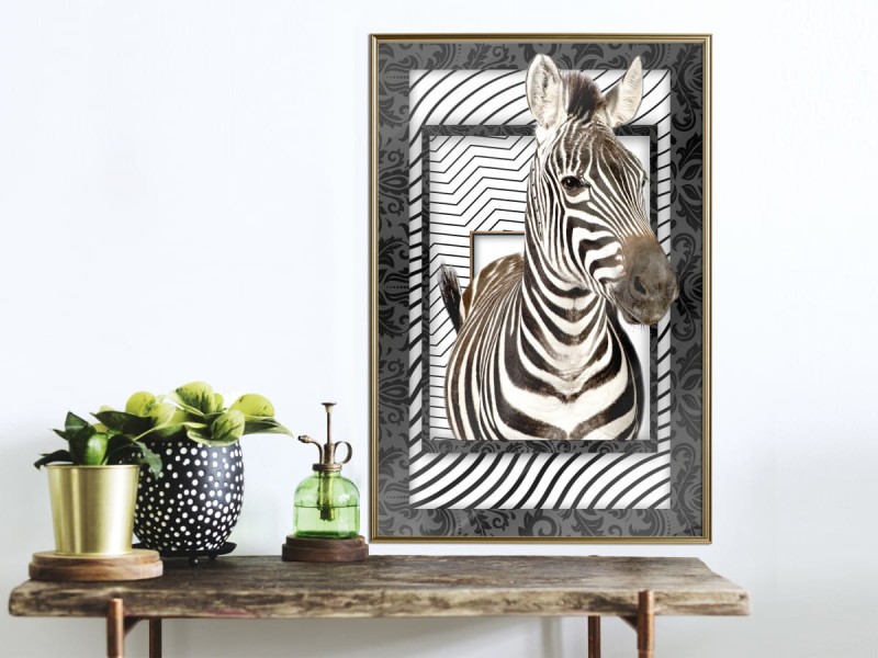 Plakat - Zebra w ramie