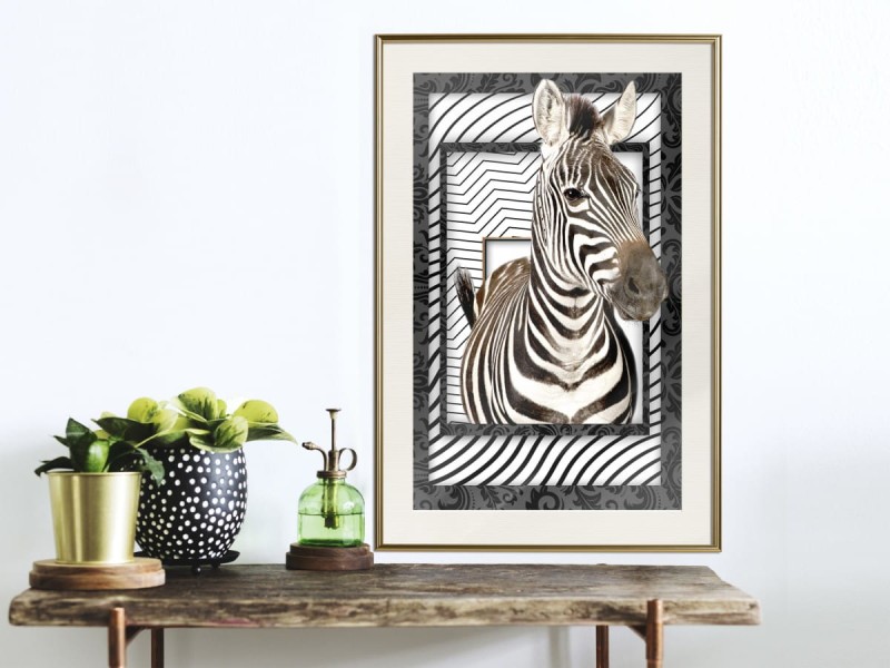Plakat - Zebra w ramie