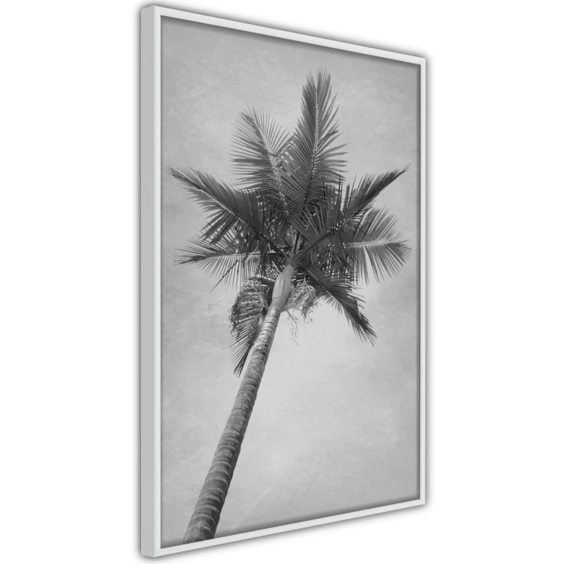 Plakat - Wspomnienia z raju