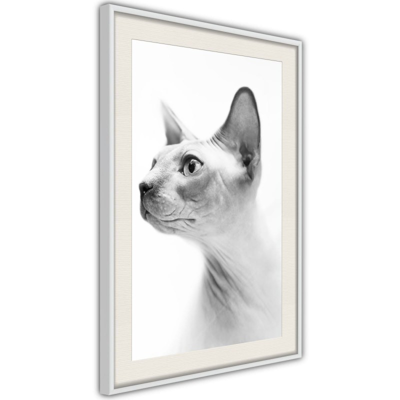 Plakat - Sfinks
