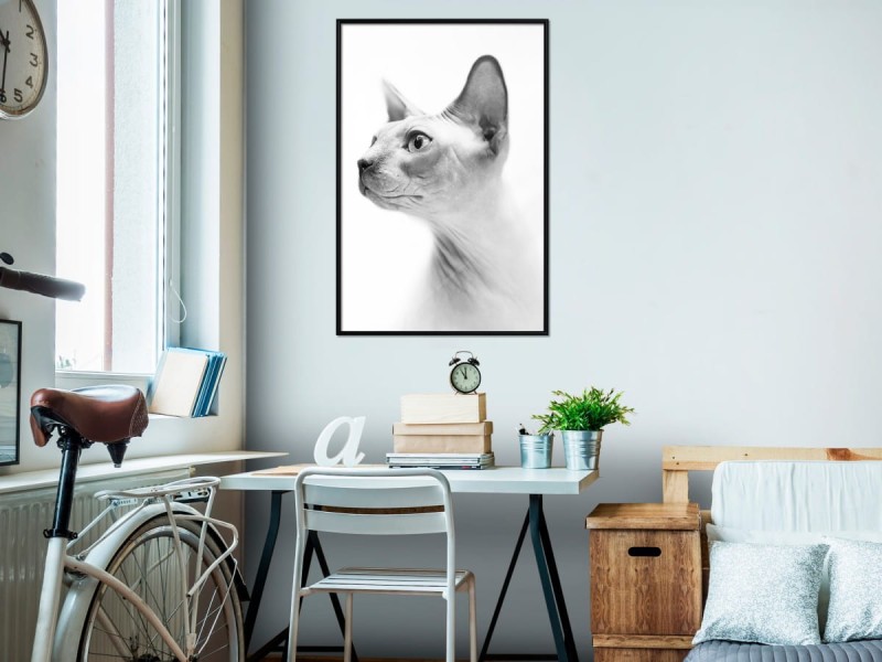 Plakat - Sfinks