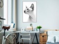 Plakat - Sfinks