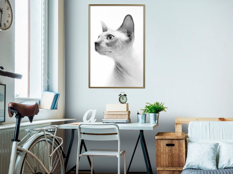Plakat - Sfinks