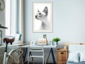 Plakat - Sfinks