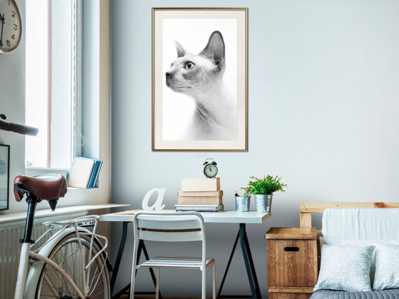 Plakat - Sfinks