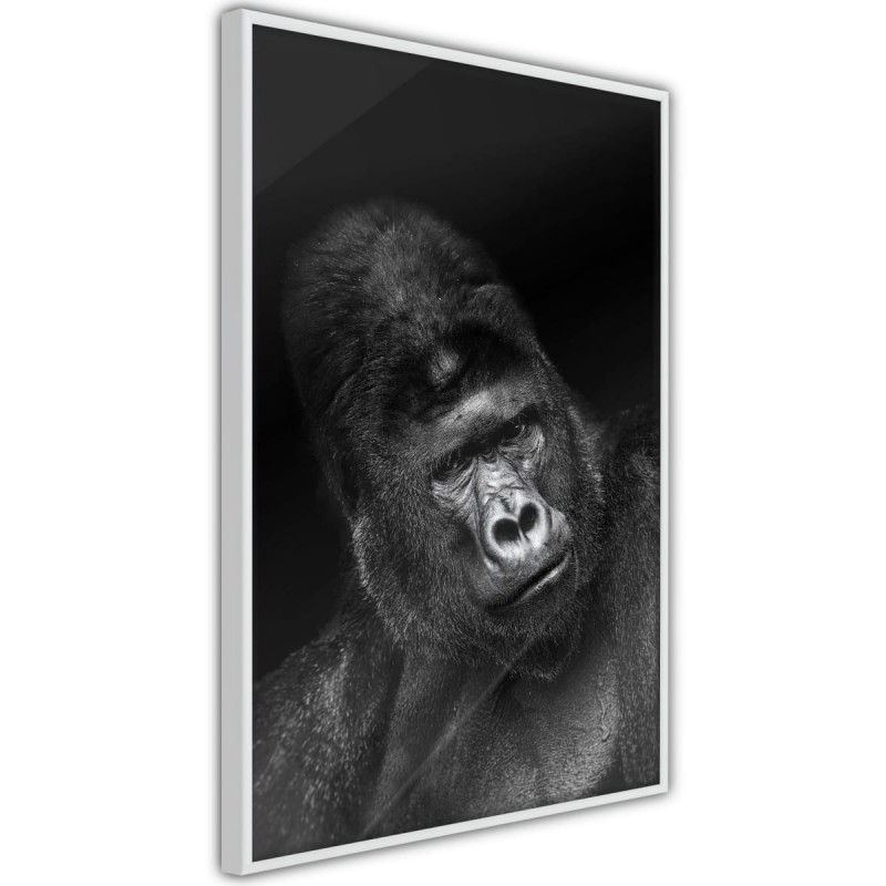 Plakat - Rozumne spojrzenie