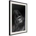 Plakat - Rozumne spojrzenie