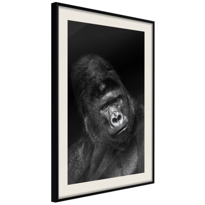 Plakat - Rozumne spojrzenie