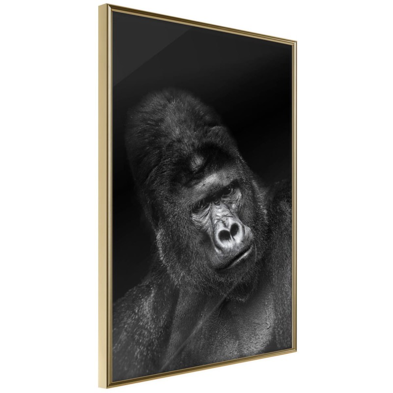 Plakat - Rozumne spojrzenie