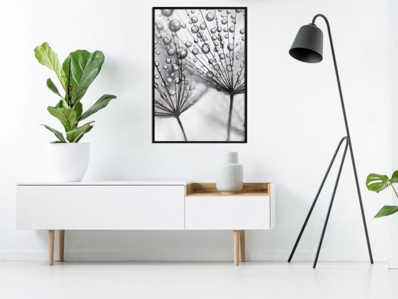 Plakat - Rosa w skali makro