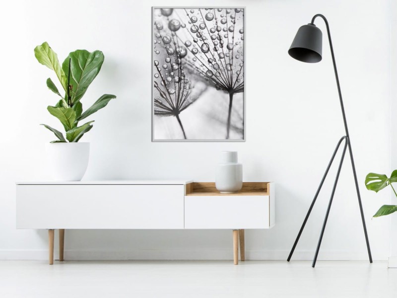 Plakat - Rosa w skali makro
