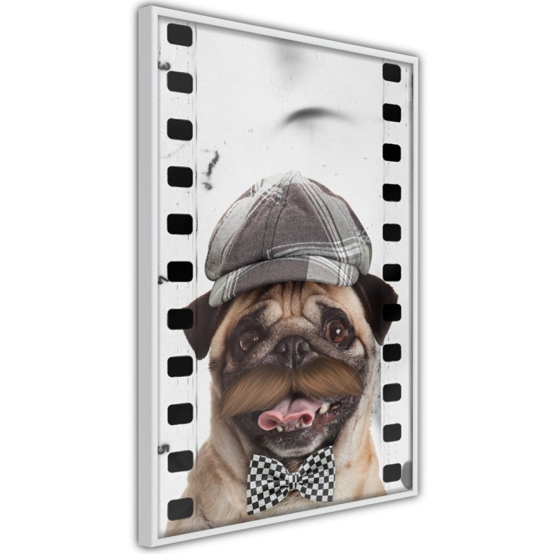 Plakat - Przebrany mops