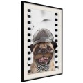 Plakat - Przebrany mops