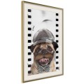 Plakat - Przebrany mops