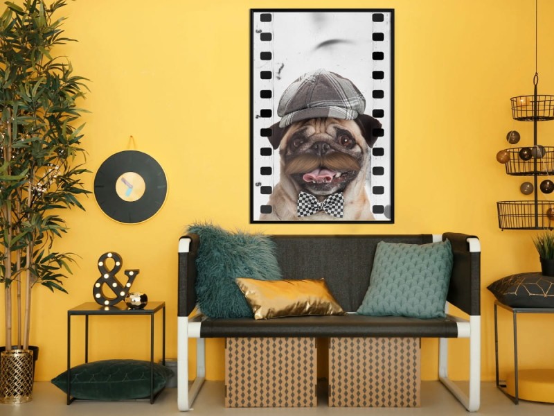 Plakat - Przebrany mops