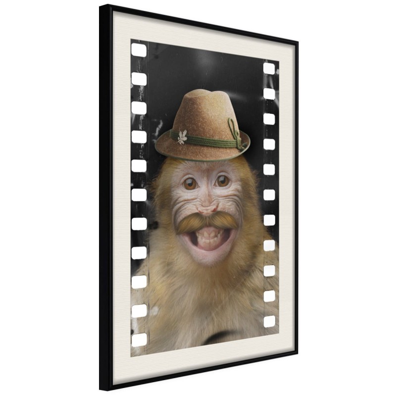 Plakat - Przebrana małpka