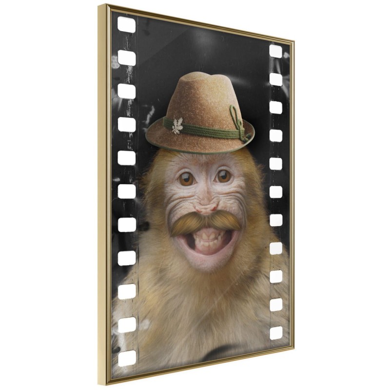 Plakat - Przebrana małpka