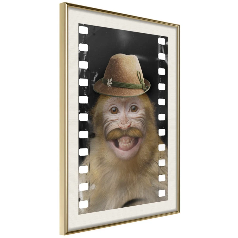 Plakat - Przebrana małpka