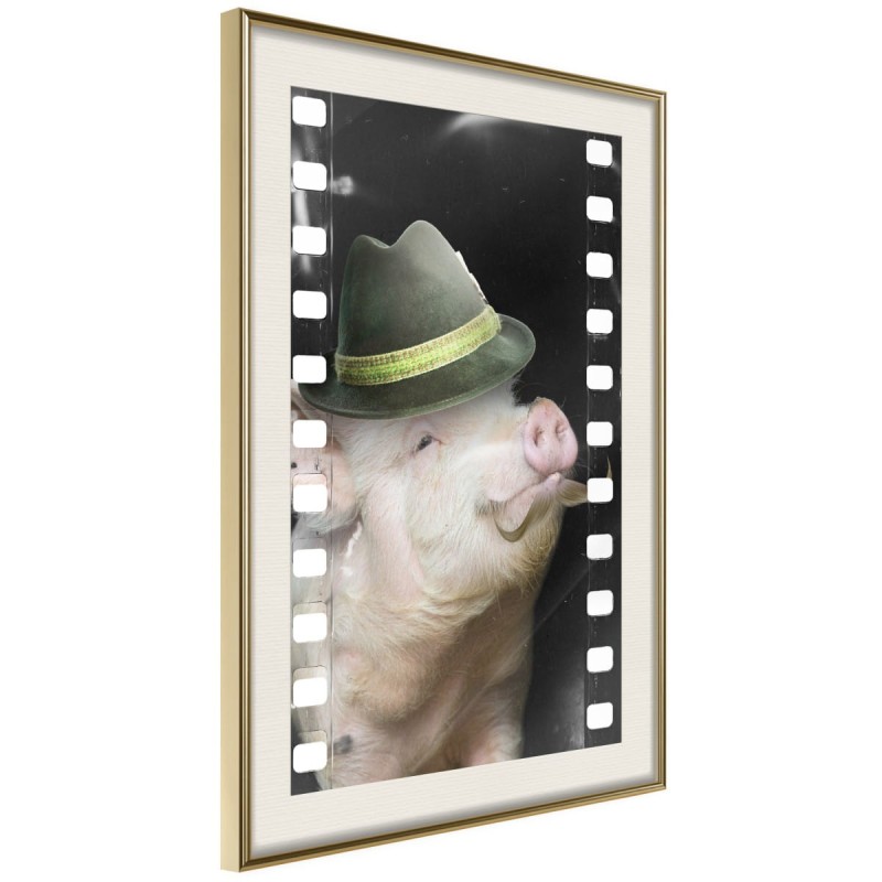 Plakat - Przebrana świnka