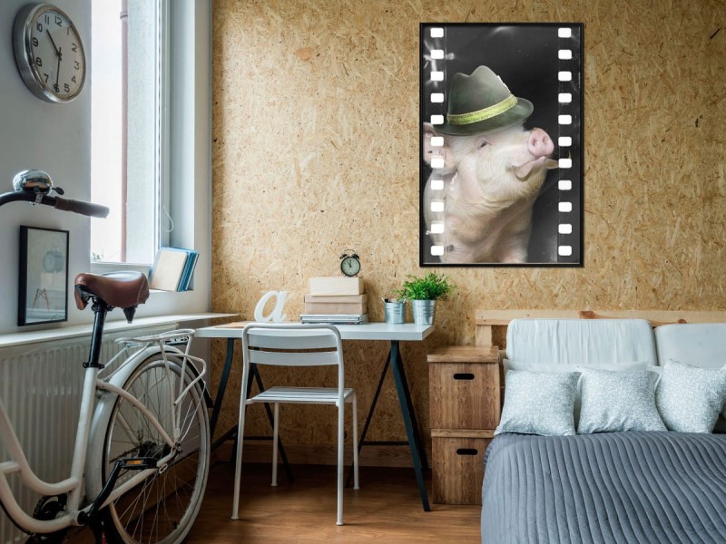 Plakat - Przebrana świnka