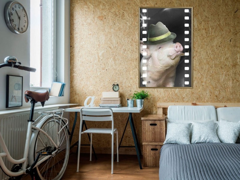 Plakat - Przebrana świnka