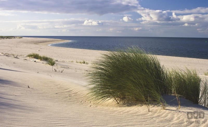 Fototapeta PIASZCZYSTA PLAŻA 655