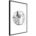 Plakat - Słoje