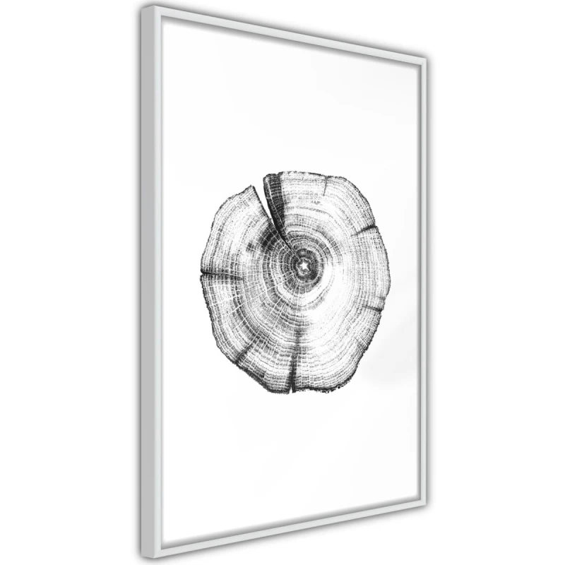 Plakat - Słoje