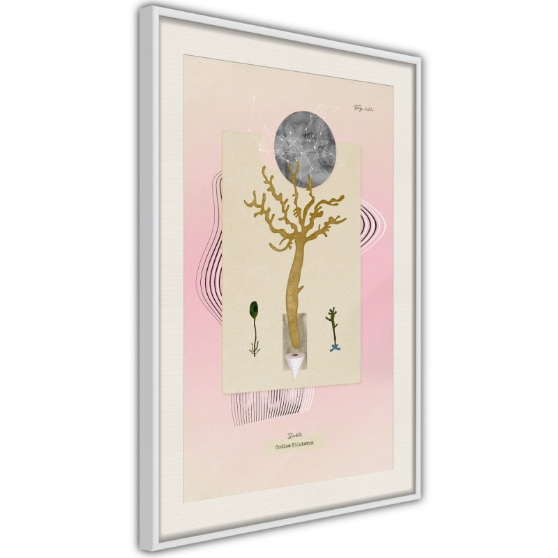 Plakat - Roślina wodna