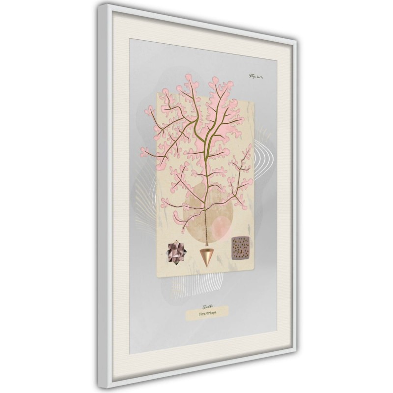 Plakat - Wodorost