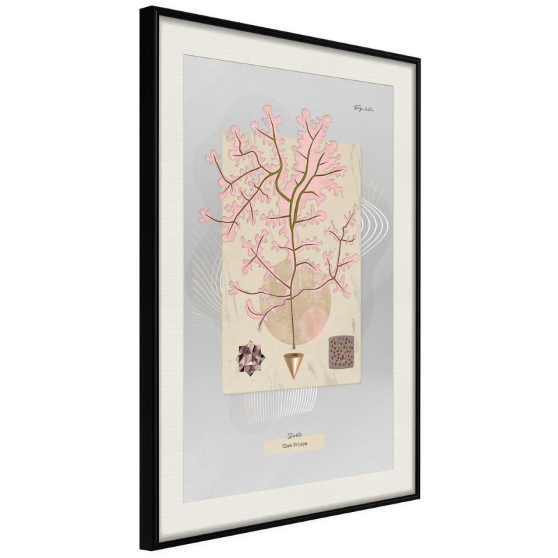 Plakat - Wodorost