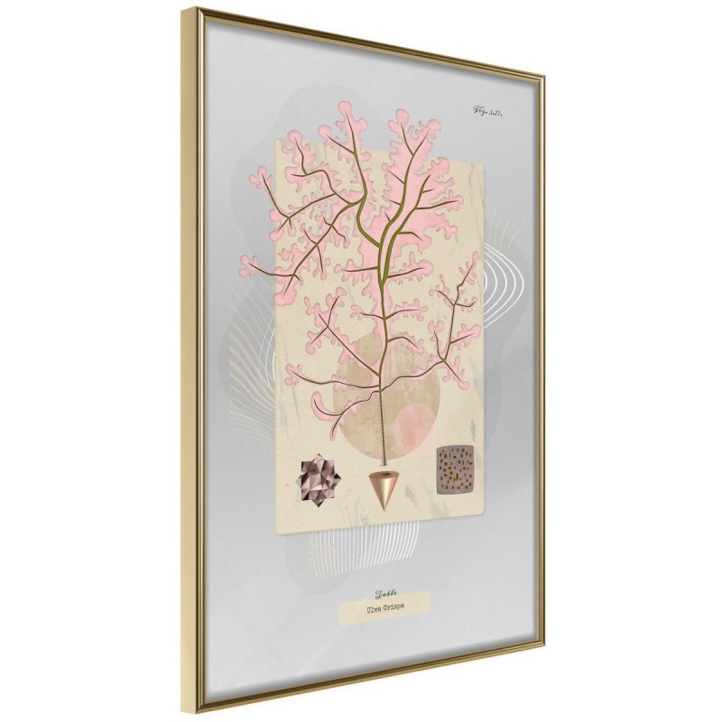 Plakat - Wodorost