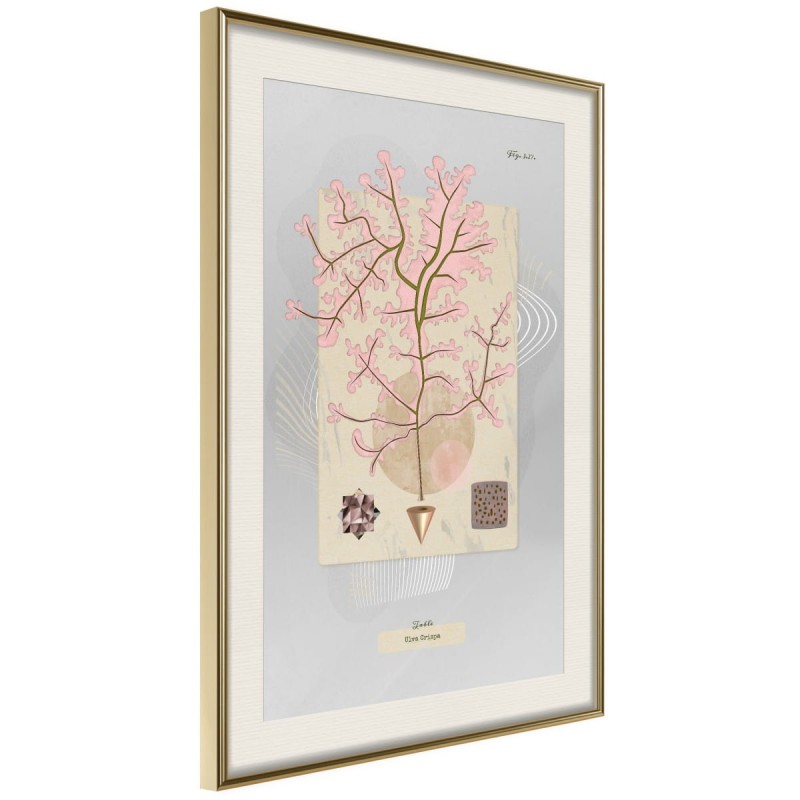 Plakat - Wodorost