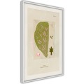 Plakat - Przekrój liścia